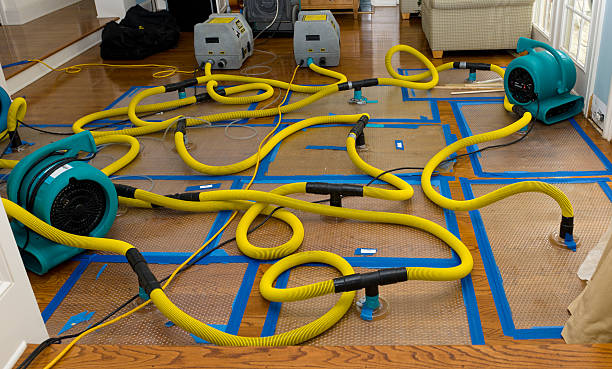 Professional Flood Damage Restoration technician working in North Rim, AZ